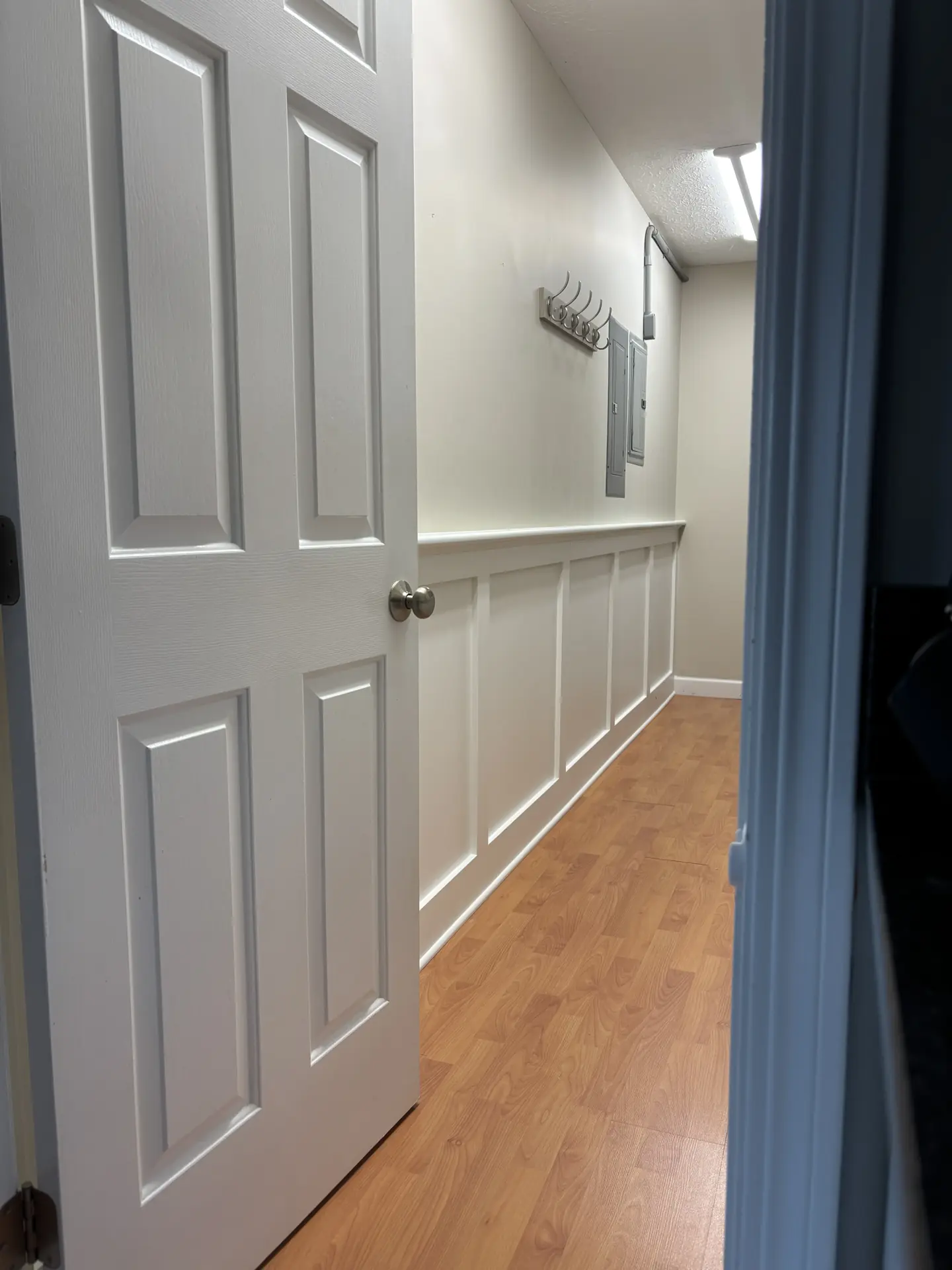 Door and shelving trim detail